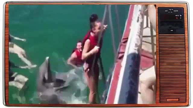Best Funny Video Clips Funny Fails Funny Animals Funny Pranks & Jokes