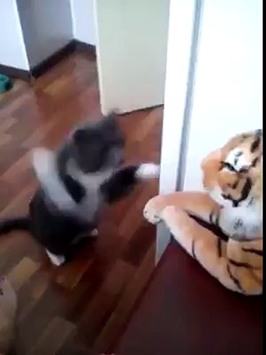 i will hit u many times untill i win
