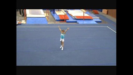 спортивная гимнастика 1 юношеский разряд, вольные