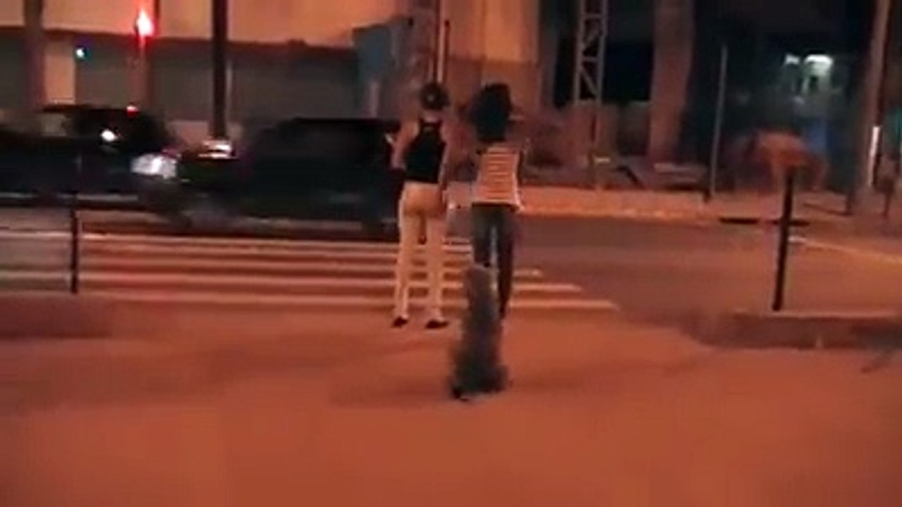 Un chien traverse au passage piéton au vert!! Piéton qui traverse au rouge