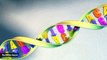 Study: One Genetic Mutation Results In A 25-Point Drop In Intelligence