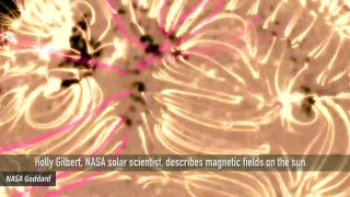 NASA Shares Video Showing Sun's 'Invisible Magnetic Field'