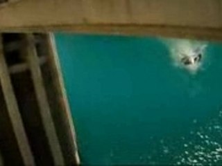 Bande Annonce : Transformers VF