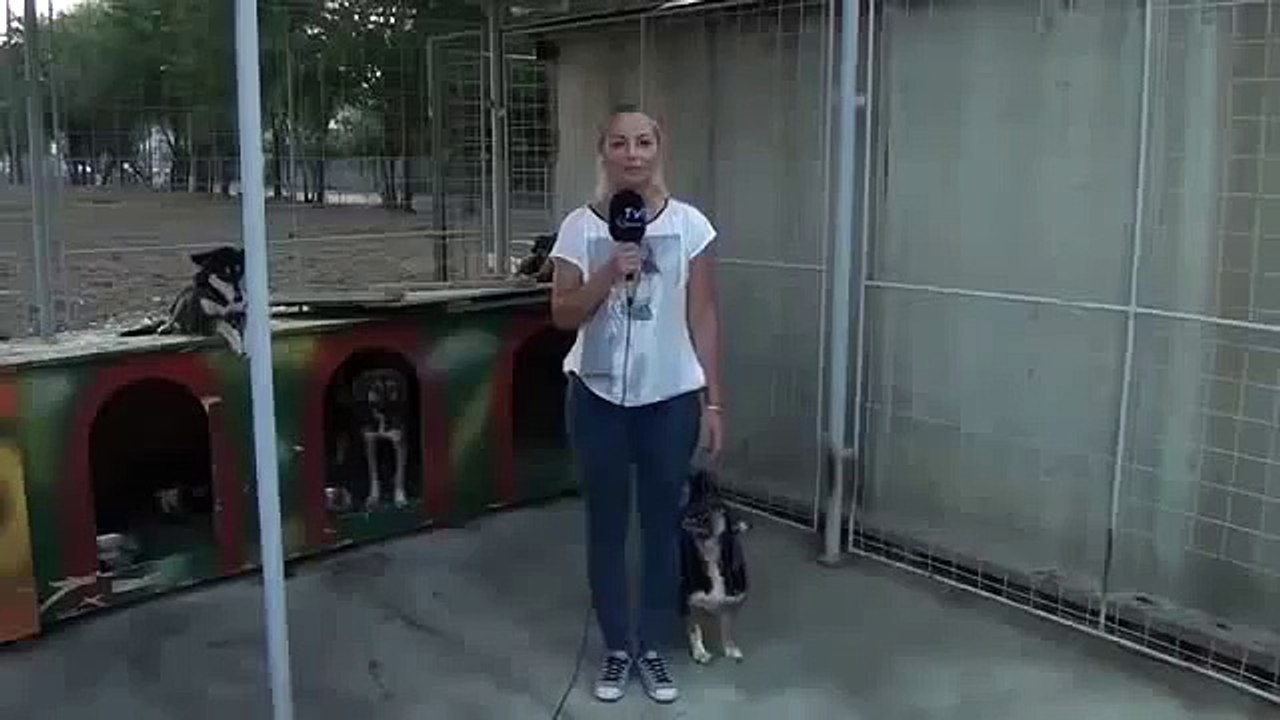 Прямой ЭФИР ПРИКОЛ