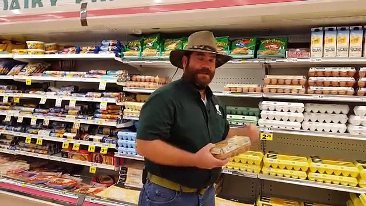 Eggspos Exposing Egg Expiration Dates