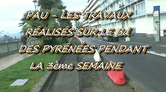 LES W-D.D. MICHOU NEWS - 23 JANVIER 2016 - LES TRAVAUX RÉALISÉS SUR LE BOULEVARD DES PYRÉNÉES LA 3e SEMAINE DE JANVIER