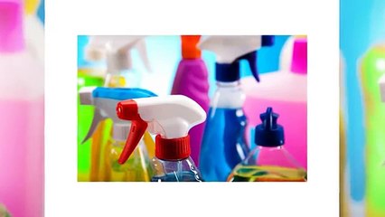 The Everyday Roots Book