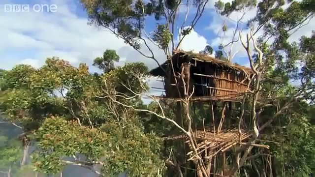 Потрясающие моменты жизни на нашей Планете