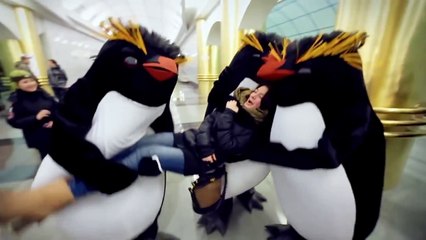 Пингвины в метро: удивительное приключение под землёй 🐧