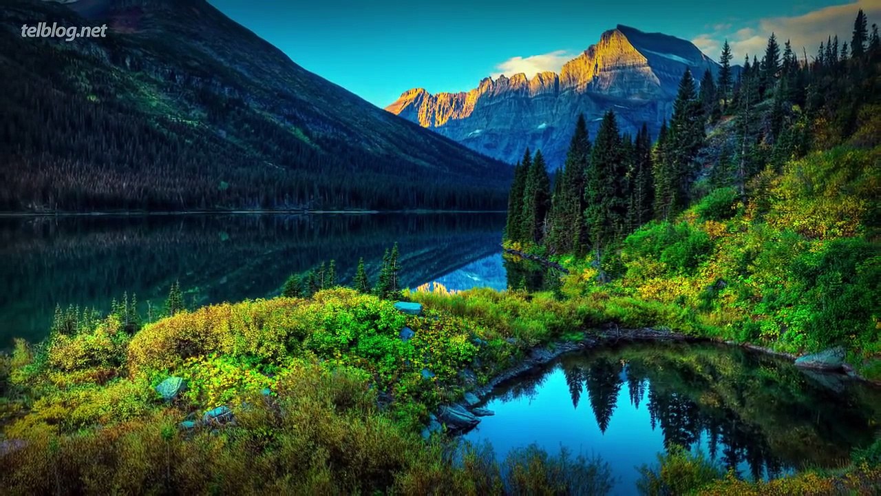 ТОП 5 Ужасные СПАРИВАНИЯ Животных в Сравнении с Человеком!