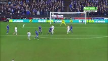 Darren Potter Goal - Milton Keynes Dons 1 - 1 Chelsea