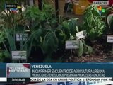 Venezuela: productores participan en encuentro de agricultura urbana