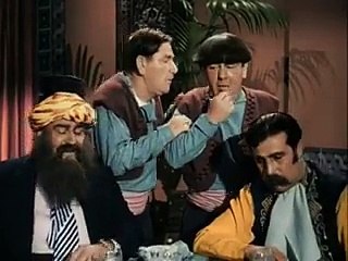 Funny videos - three stooges hot dog and cats meal  _-_ By Good Movies To Watch