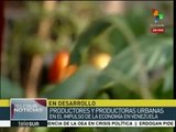 Venezuela: Asiste Maduro al Primer Encuentro de Agricultura Urbana