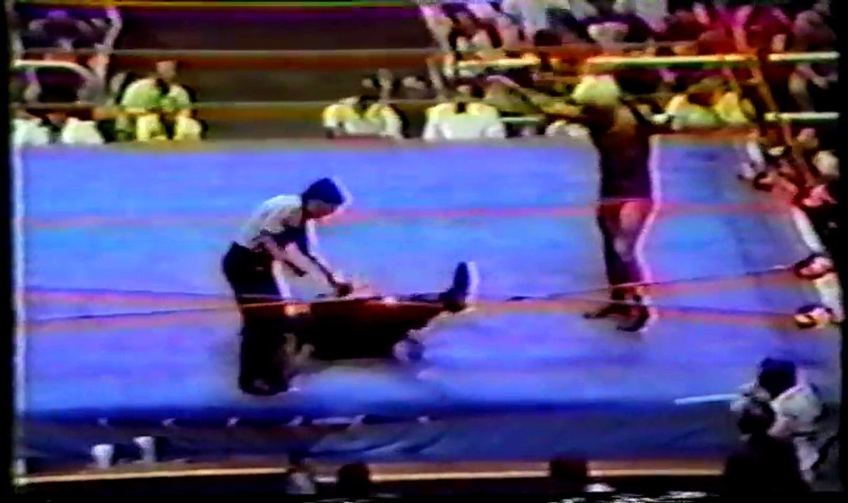 Ric Flair vs Sgt. Slaughter