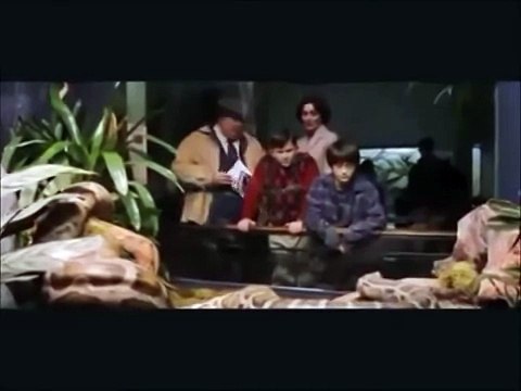 Фильм-крэк «Harry Potter and the Philosopher's Stone» - Гарри Поттер и Философский камень