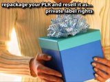 private label rights software - plr articles affiliate marketing