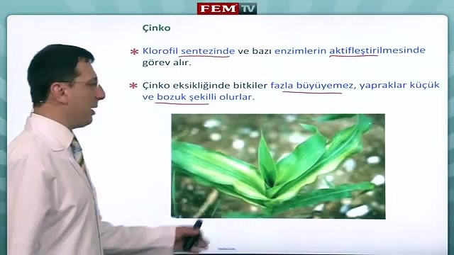 Bitki Biyolojisi Bitkilerde Beslenme ve Bitkisel Hareketler 1