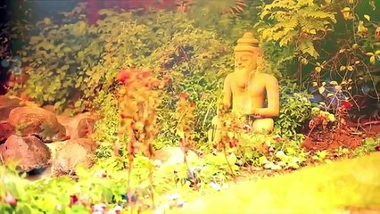 Welcome to the Ayurveda Experience