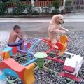 Cute Kid and dog having fun on tiny carousel