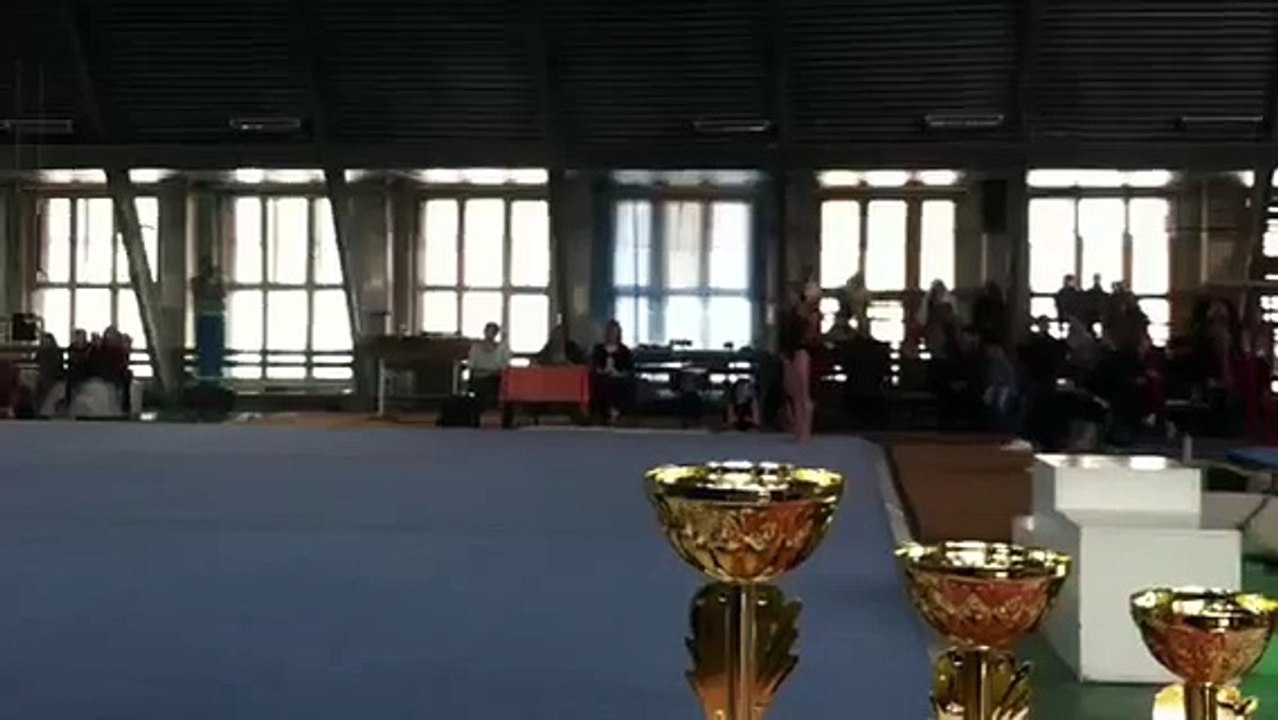Луганск спортивная гимнастика . Чемпионат области