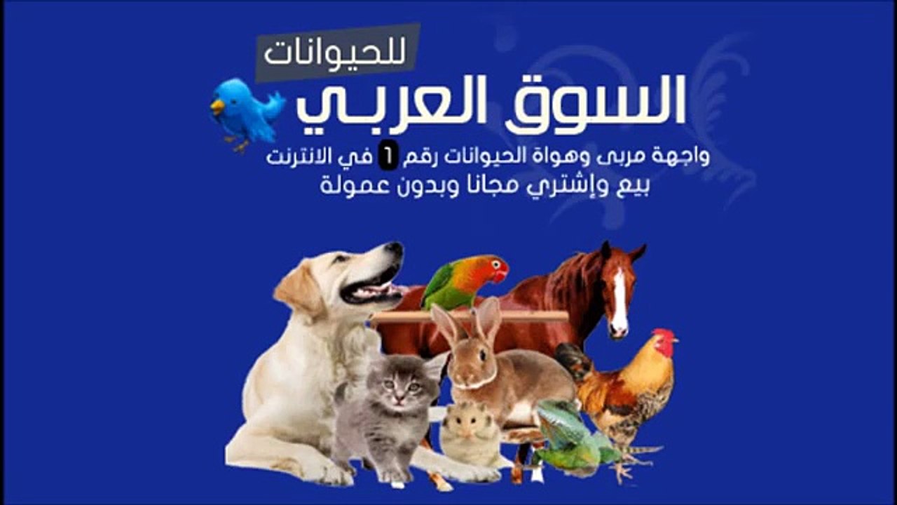 Cairo