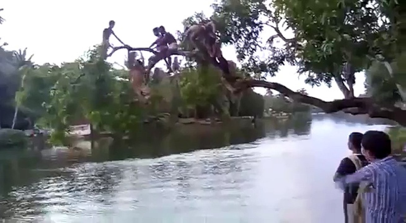 Funny WhatsApp Video Which Will Make You Laugh