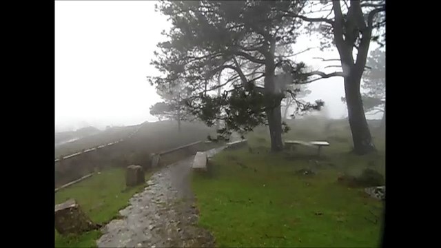 SEÑOR DEL CARAMIÑAL POBRA DO CARAMIÑAL 2016