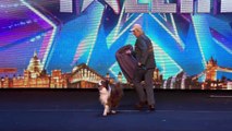 Catch Jules and Matisse the dog in action | Britain\'s Got Talent 2015