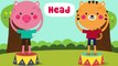 Head Shoulders Knees and Toes | Nursery Rhymes for Toddlers with Lyrics & Actions