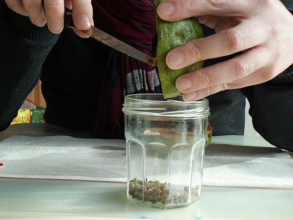 SCIE - Découpe d'une mangue