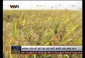 Những vấn đề đặt ra cho xuất khẩu gạo 2014
