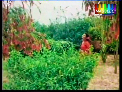 Chaman Chaman Kali Kali (with Akhlaq Ahmed) Aahat - Original DvD Nayyara Noor Vol. 1