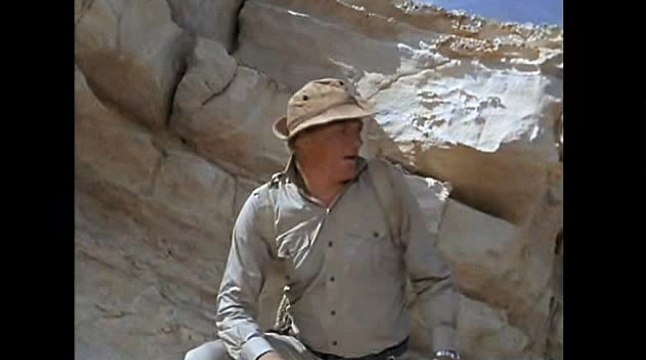 강원랜드바카라♥WKW22。COM▥월드카지노㈜마이크로게임