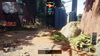 Call of Duty®: Black Ops III 2.6 y baja final