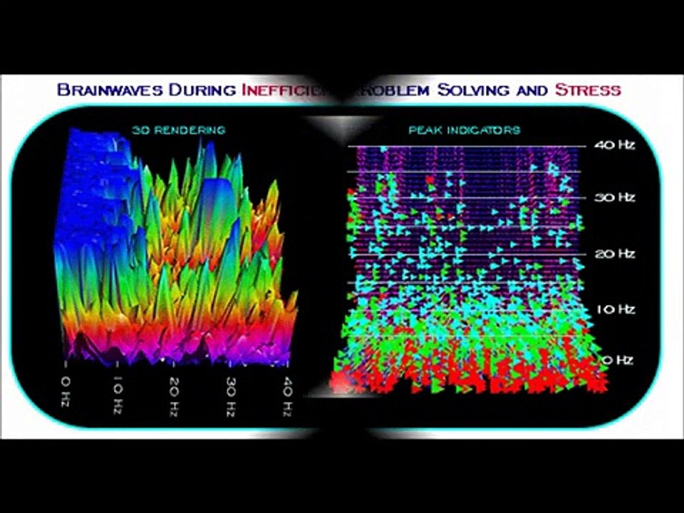 Brain Evolution System-My Personal Review