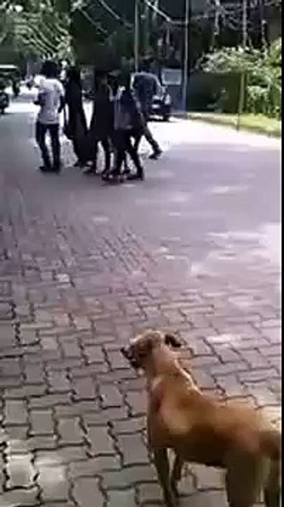 Funny bike stunt crash accident Narrow escape from death!! (Funny Videos 720p)