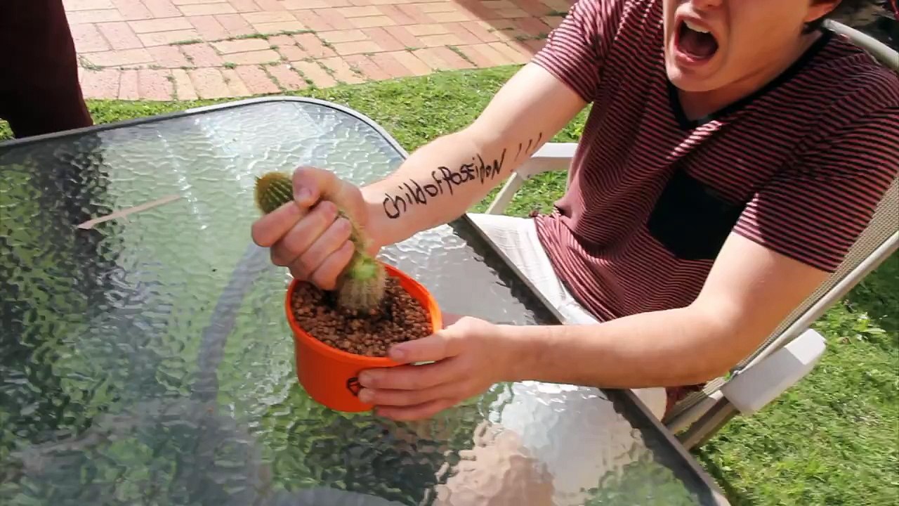 CoP Cactus Grab