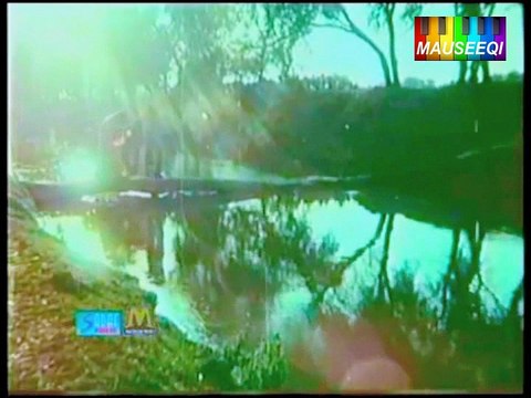 Ho Meray Sang Chala Ik (with Akhlaq Ahmed) Sharafat - Original DvD Nayyara Noor Vol. 1