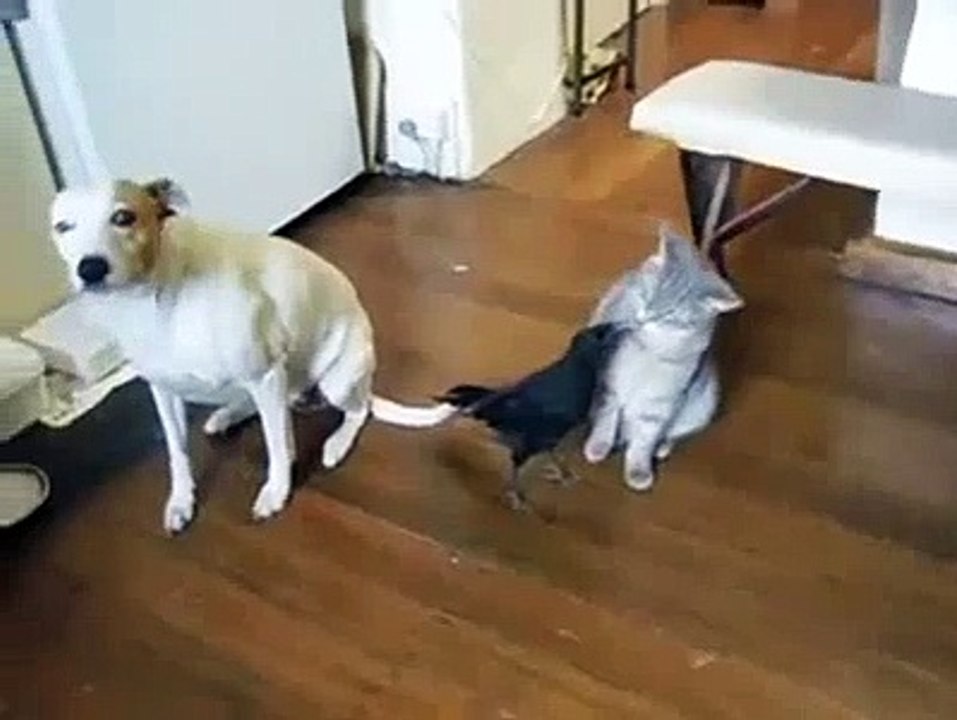 feeding time
