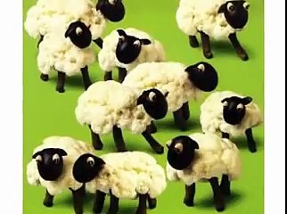 Vegetable Art Photo Slide