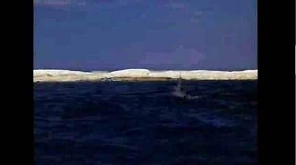 바카라강원랜드◈KOP77,COM§마카오바카라㈜로얄드림카지노싸이트