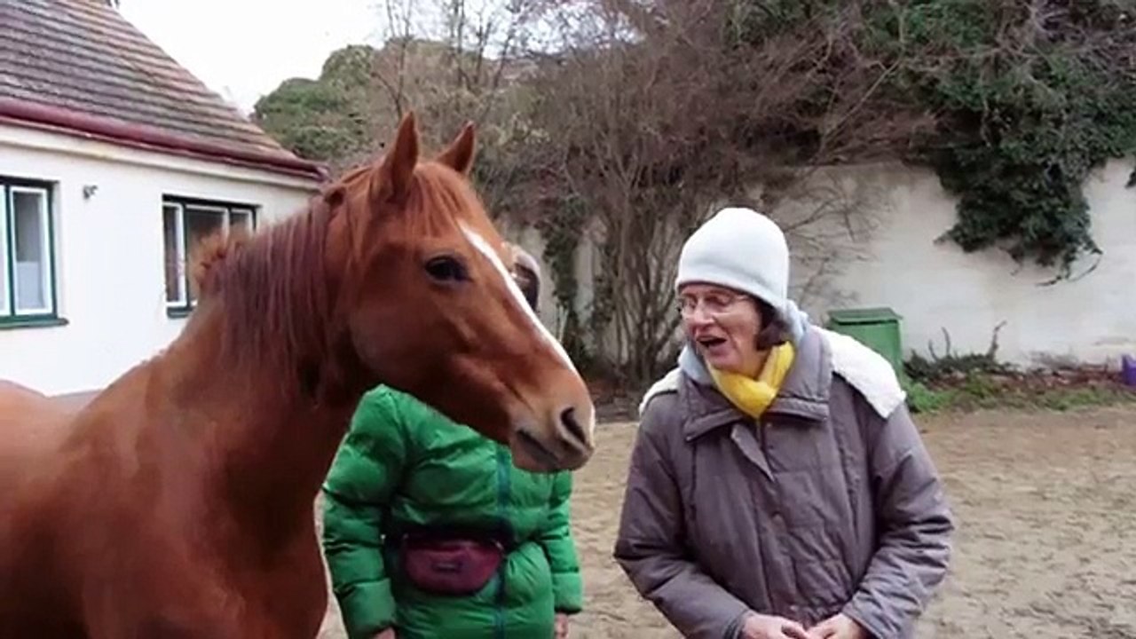 Kalafi und das Clickertraining - Chorprobe oder so ähnlich