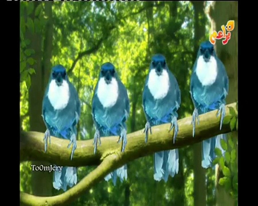 OnYukleme 56ae8f2294079