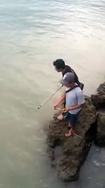 Mancing Ikan Hiu Kemejan Di Pelabuhan 2