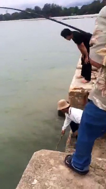 Mancing Ikan Hiu Kemejan Di Pelabuhan