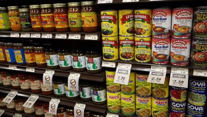 FIRST TRAINING BRA?!?!- DAILY VLOG 370