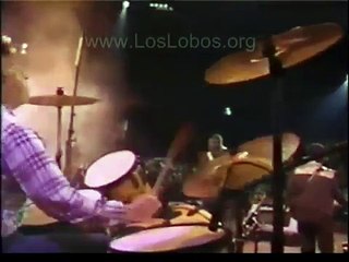 1987 Los Lobos La Bamba LIVE at MTV Awards