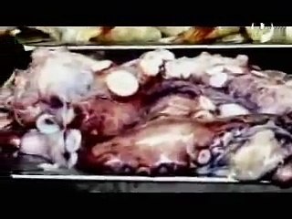 AVENTURA CULINARIA Y GASTO  ACURIO EN  CEBICHE DE VERANO ( PRIMERA PARTE)