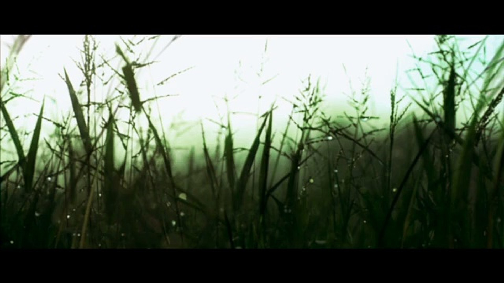 Pacific (Pacífico) trailer - Colombian-Argentine sci-fi horror